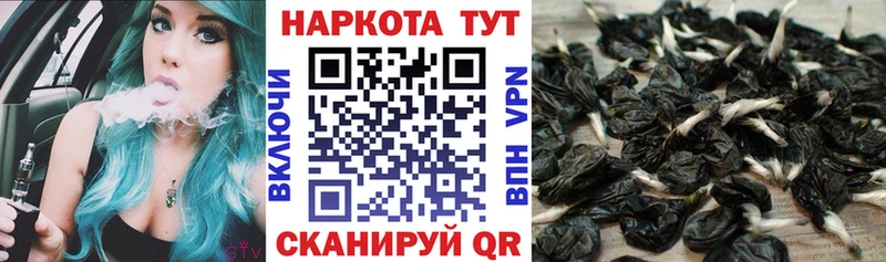Купить Талица COCAIN  ГАШ  Галлюциногенные грибы  Каннабис  A-PVP 